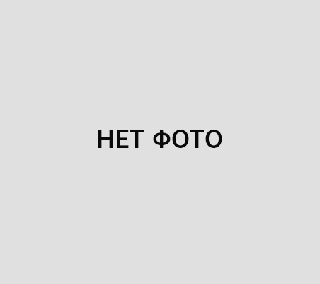Топка котла дровами